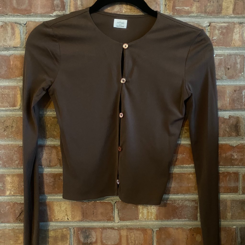 Aritzia Brown Button-Down